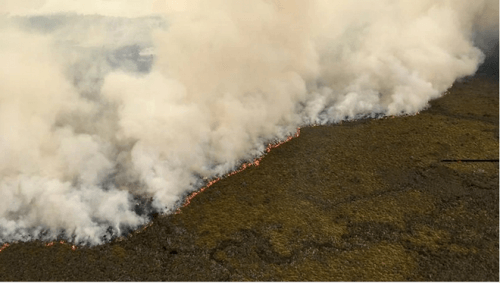 Australia: Nắng nóng kỷ lục gần ngưỡng 50 độ C