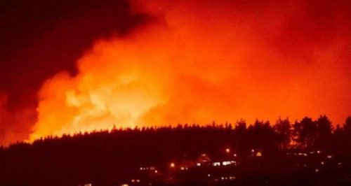 New Zealand: Cháy rừng dữ dội, hàng nghìn người sơ tán
