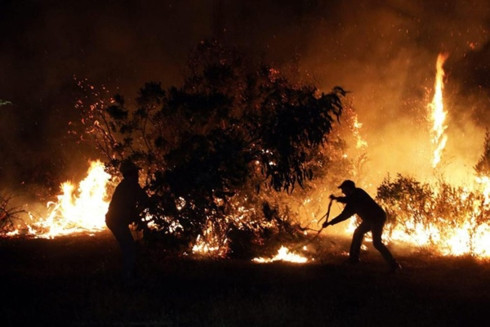 Chile: Cháy rừng, hàng trăm người phải đi sơ tán