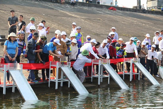 Quảng Nam: Thả hơn 50 ngàn con cá giống xuống lòng hồ thuỷ điện Sông Tranh 2