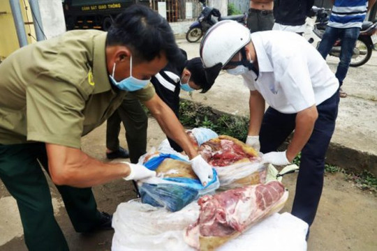 Lâm Đồng: Thu giữ hơn 270 kg thịt heo có dấu hiện nấm mốc xanh đang trong giai đoạn phân hủy
