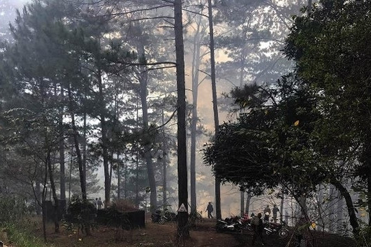 Khoảng 33.000ha rừng U Minh Hạ có nguy cơ cháy cao