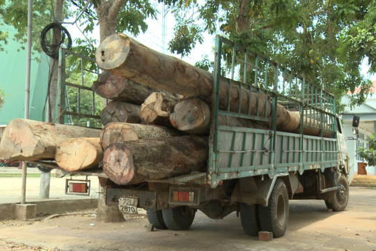 Kon Tum: Bắt giữ xe ô tô vận chuyển gần 8m3 gỗ lậu