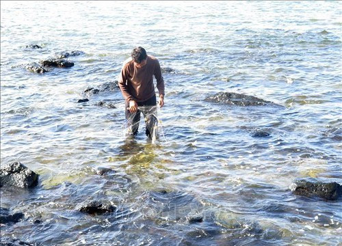 Quảng Ngãi: Nước thải hồ nuôi tôm chảy xuống biển nguy cơ ô nhiễm môi trường
