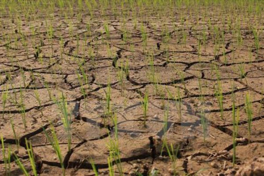 Gia Lai: Chủ động phòng chống hạn hán, thiếu nước vào mùa khô 2019