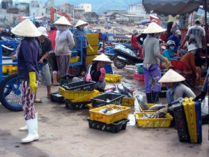 Quy Nhơn: Cảng cá Hàm Tử thành bãi rác