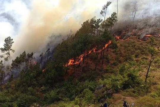 Nắng nóng gay gắt, liên tiếp xảy ra 8 vụ cháy rừng diện rộng tại Sơn La và Lai Châu