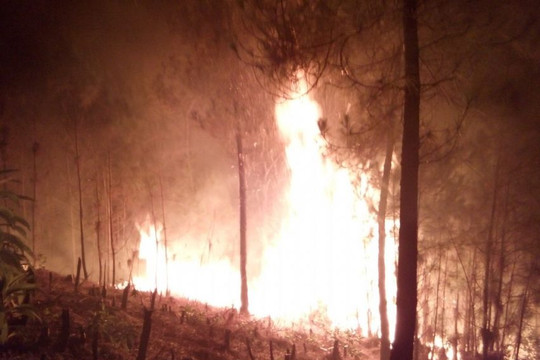 Điện Biên: Cháy rừng trong đêm, huy động hàng trăm người tham gia dập lửa