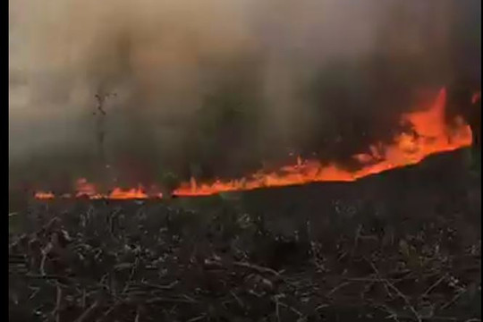 Thừa Thiên – Huế: Nắng nóng đổ lửa, 2 vụ cháy rừng liên tiếp