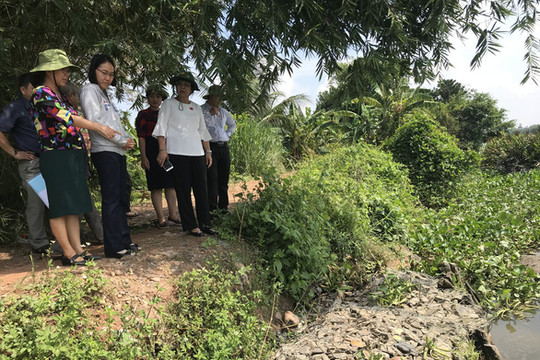 Đê bao sông Sài Gòn sạt lở nguy cơ gây ngập úng nghiêm trọng