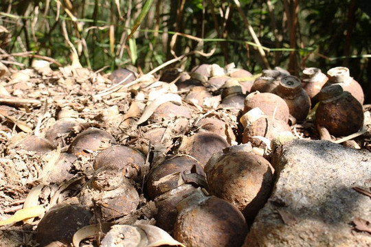 Quảng Bình: Người dân phát hiện 105 quả bom bi dưới lòng sông