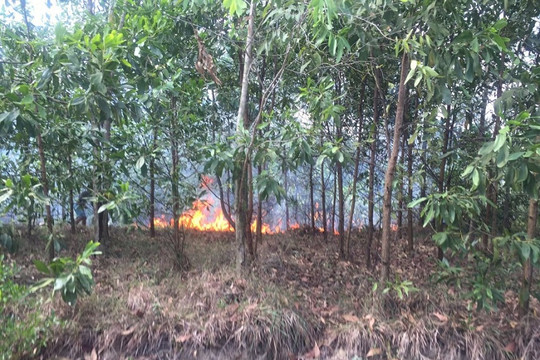Hà Tĩnh: Huy động hàng ngàn người tham gia chữa cháy rừng tại huyện Lộc Hà