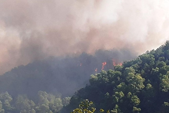 Hà Tĩnh: Rừng thông bùng cháy lớn, di dời khẩn cấp 100 hộ dân