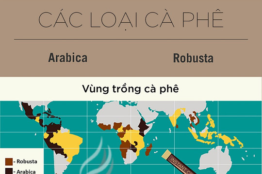 [Infographics] Cà phê trứng Việt Nam trong danh sách hương vị kỳ lạ nhất