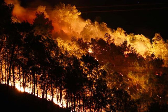 Hà Tĩnh: Chỉ đạo điều tra làm rõ các vụ cháy rừng tại huyện Hương Sơn