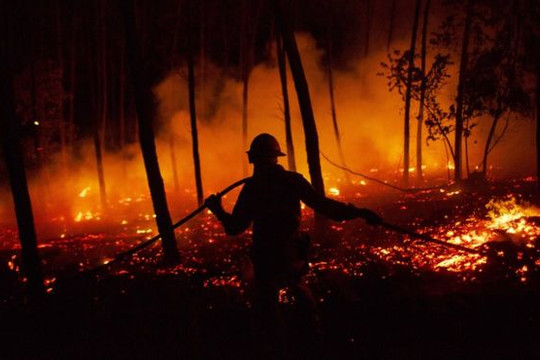 Bồ Đào Nha: Nguyên nhân dẫn đến cháy rừng khó kiểm soát