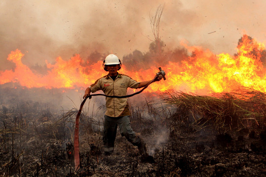 Indonesia huy động hàng nghìn cảnh sát, binh sĩ tham gia phòng chống cháy rừng