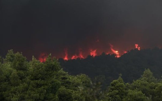 Ban bố tình trạng khẩn cấp do cháy rừng tại đảo Evia – Hy Lạp