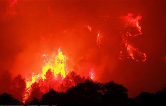 Pháp: 500 lính cứu hoả dập tắt cháy rừng dữ dội ở miền Nam