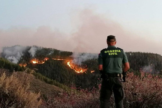 Tây Ban Nha: Lại sơ tán dân do lại xảy ra cháy rừng tại Gran Canari
