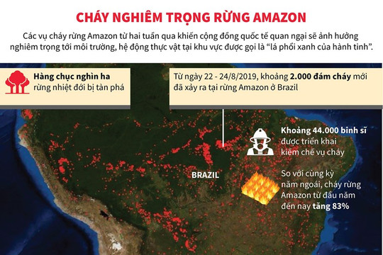 [Infographic] Cháy rừng Amazon ngày càng diễn ra nghiêm trọng và lan rộng hơn