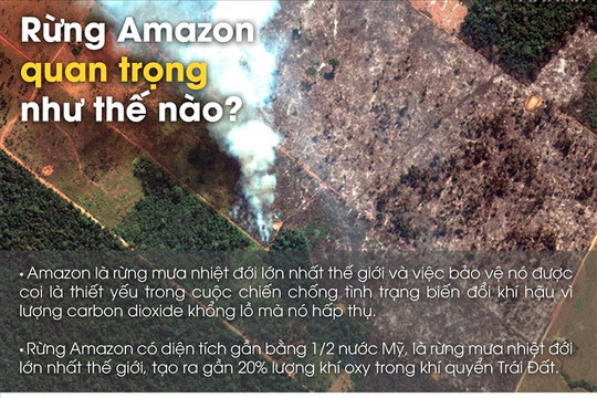 [Infographic] Những con số giật mình trong vụ cháy rừng Amazon