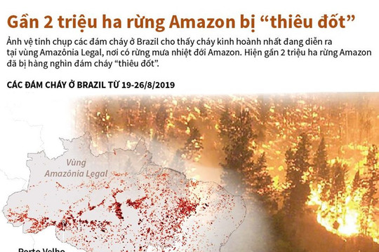 [Infographics] Gần 2 triệu hécta ở rừng Amazon bị “thiêu đốt”
