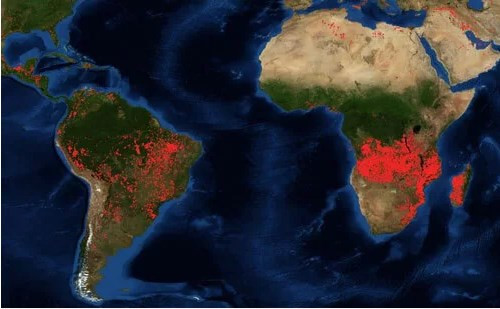 Rừng Châu Phi cháy gấp 3 lần ở Amazon qua ảnh vệ tinh NASA