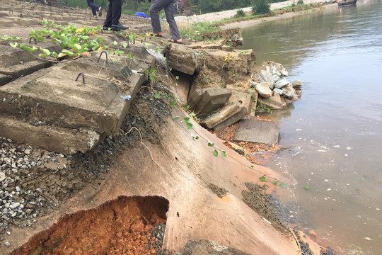 Hà Tĩnh: Hàng trăm mét đê chắn sóng sạt lở nghiêm trọng do mưa lũ, triều cường