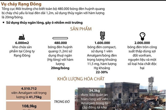 [Infographics] 480.000 bóng đèn huỳnh quang của Rạng Đông có thủy ngân