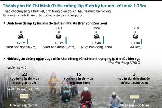 [Infograpics] Triều cường lập đỉnh kỷ lục mới tại TP Hồ Chí Minh