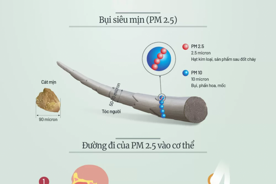 [Infographic] Tác hại của bụi siêu mịn trong không khí