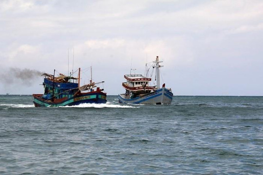 Đưa 12 ngư dân Bình Định gặp nạn ở Trường Sa về đến Vũng Tàu an toàn
