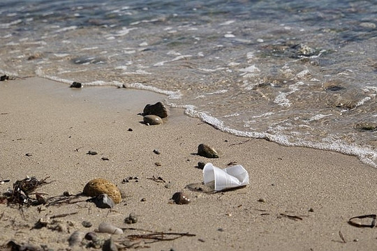 Rác thải nhựa có thể phân hủy nhanh hơn dưới ánh mặt trời