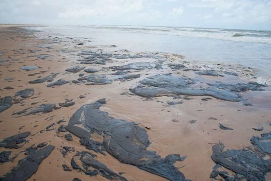 Sự cố tràn dầu trên biển: Venezuela bác bỏ cáo buộc của Brazil