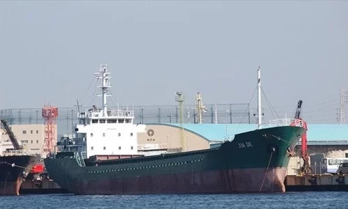 Siêu bão Hagibis tại Nhật Bản: Việt Nam phối hợp tìm kiếm thủy thủ mất tích do chìm tàu