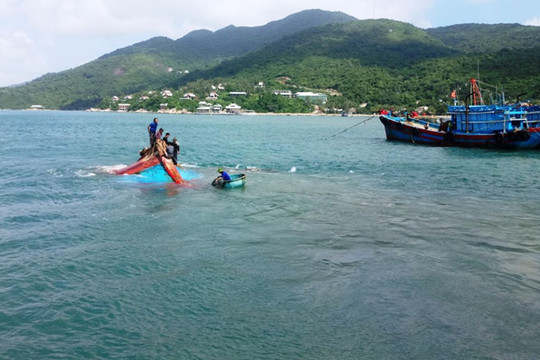 Tàu cá Quảng Ngãi gặp nạn trên vùng biển Cù Lao Chàm, 12 ngư dân được ứng cứu kịp thời