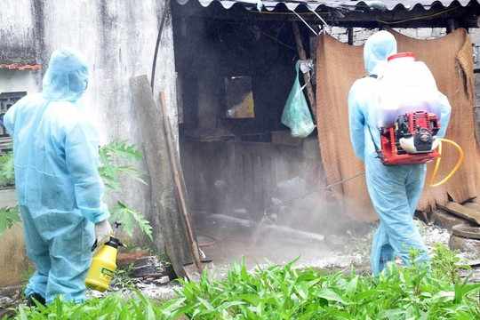 Nghệ An: Sau mưa, cần 30 tấn hóa chất để phun tiêu độc khử trùng