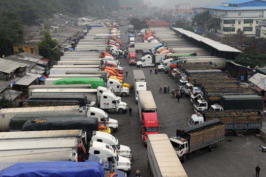 Trung Quốc thay đổi phương thức, hàng trăm xe container nông sản “tắc cứng” ở cửa khẩu Lạng Sơn