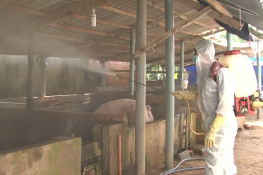 Hà Nội: Dùng hơn 40.000 lít hóa chất để tiêu độc khử trùng môi trường từ ngày 1/11