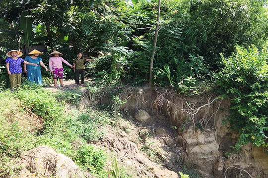Thanh Hóa: Tả ngạn sông Chu bị sạt lở nghiêm trọng
