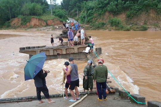 Bình Định: Lũ lớn đánh sập cầu, người dân bắc cây cau để vượt dòng nước xiết