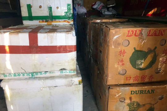 Bắt giữ hơn 1 tấn cam, quýt Trung Quốc nhập lậu vào Việt Nam
