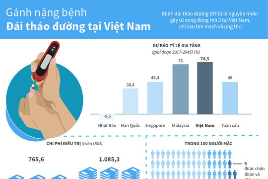 [Infographics] Gánh nặng bệnh đái tháo đường tại Việt Nam