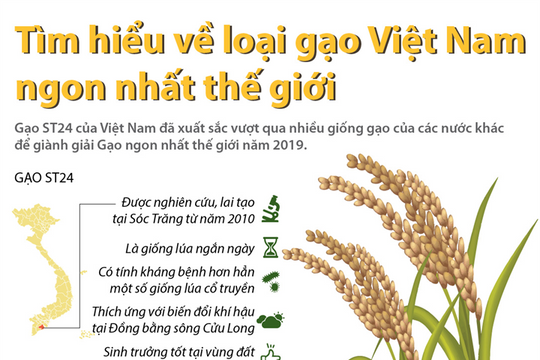 [Infographic] Tìm hiểu về loại gạo Việt Nam ngon nhất thế giới
