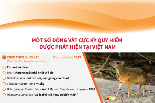 [Infographics] Một số động vật cực kỳ quý hiếm được phát hiện tại Việt Nam
