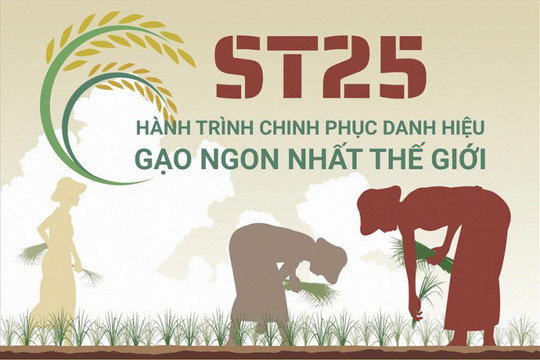 [Infographic] ST25 – hành trình chinh phục danh hiệu gạo ngon nhất thế giới