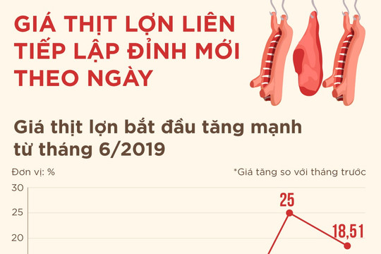 [Infographic] Giá thịt lợn liên tục lập đỉnh mới theo ngày