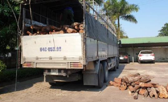 Hà Tĩnh: Bắt giữ xe tải chở hơn 18 tấn gỗ trắc