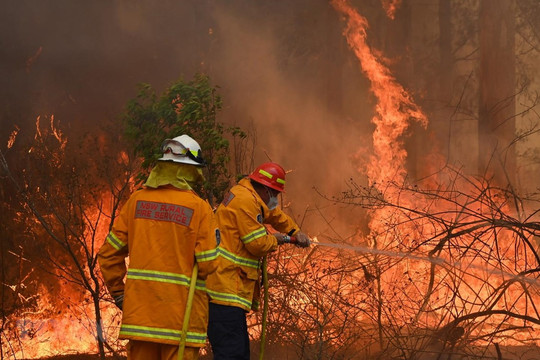 [Infographics] Australia: Cháy rừng làm tăng ô nhiễm không khí New South Wales